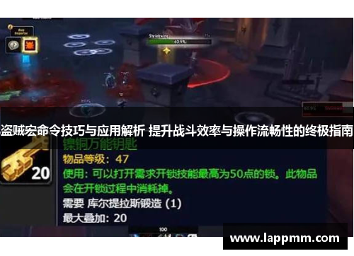 盗贼宏命令技巧与应用解析 提升战斗效率与操作流畅性的终极指南