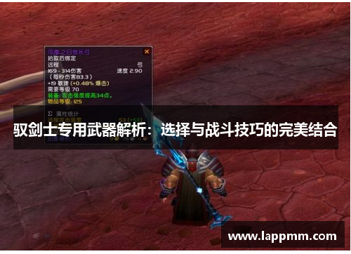 驭剑士专用武器解析：选择与战斗技巧的完美结合
